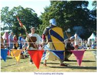 The foot jousting display